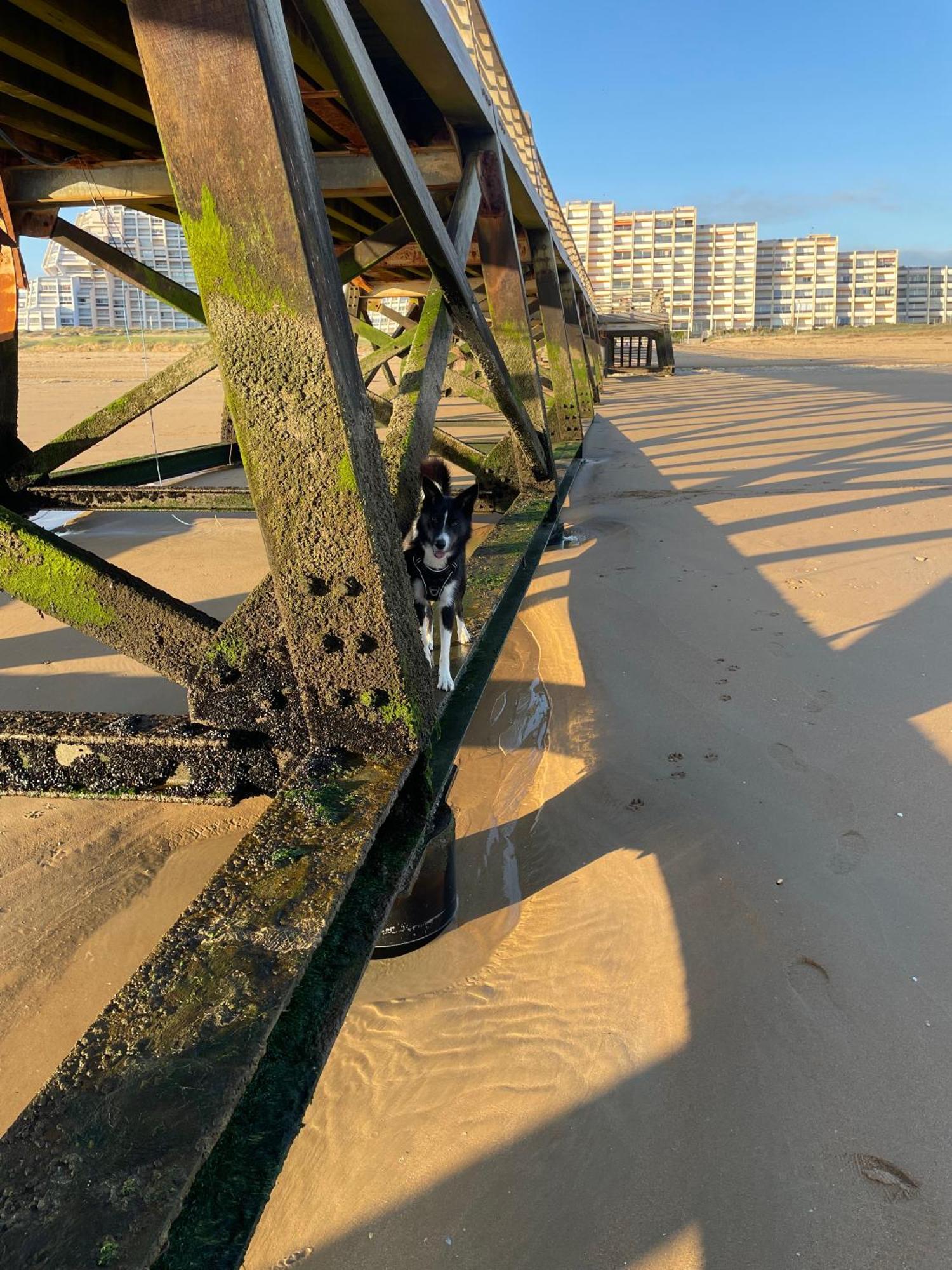 The Spot - 200M De La Plage Saint-Hilaire-de-Riez Exterior foto